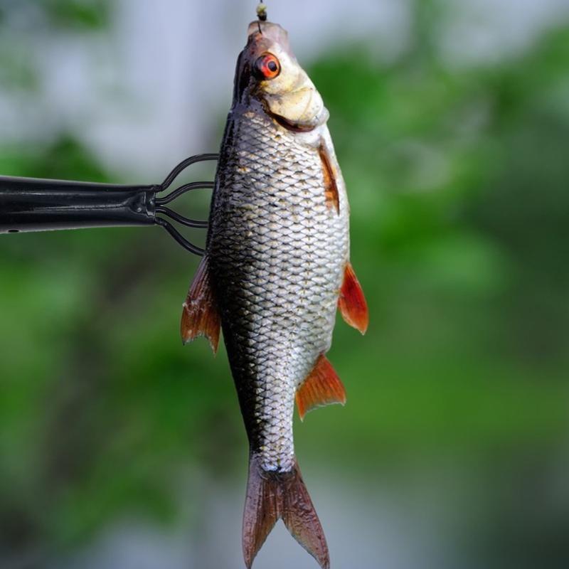 R6FE フィッシングフォーク スプリングスチール フィッシ - Fishing Rod Tip Replacement のレビューと価格